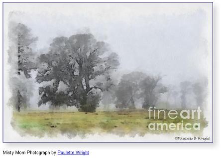 Misty Morn Photograph by Paulette Wright